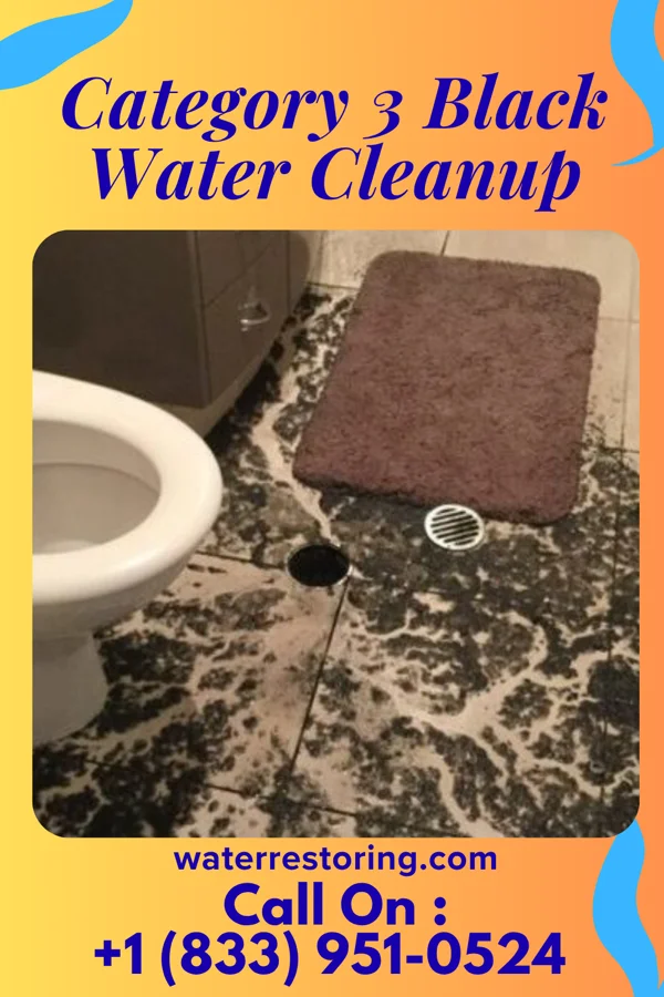 Category 3 Black Water Cleanup in La Tierra, NM